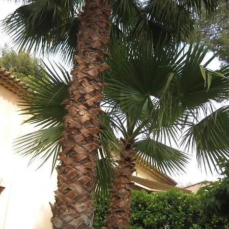 Rez De Villa, 2 Pieces, 2 A 4 Pers, A 250 M Plage Et Centre-ville Apartamento