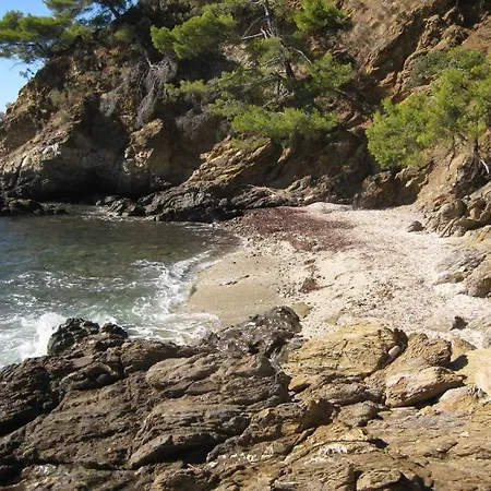 Rez De Villa, 2 Pieces, 2 A 4 Pers, A 250 M Plage Et Centre-ville Cavalaire-sur-Mer