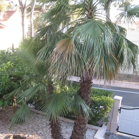 Rez De Villa, 2 Pieces, 2 A 4 Pers, A 250 M Plage Et Centre-ville كافالير سور مير