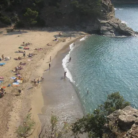 Rez De Villa, 2 Pieces, 2 A 4 Pers, A 250 M Plage Et Centre-ville * 滨海卡瓦莱尔